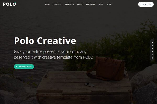 Polo Creative v8
