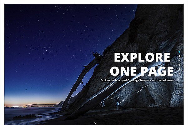 Polo One Page