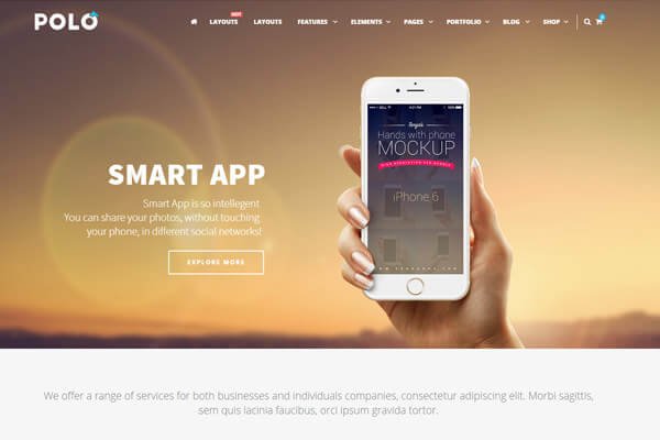 Polo App Showcase